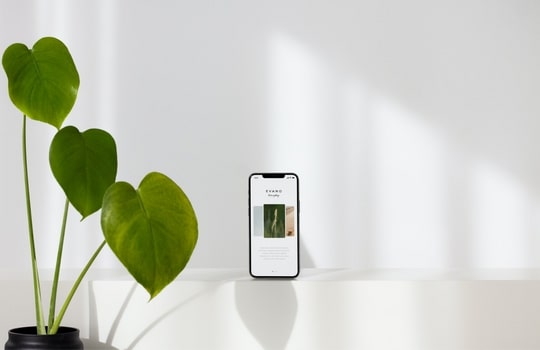 How to care for your cotton.